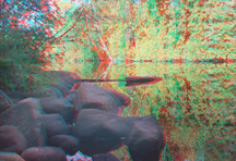 Click to see larger image.