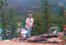 click for larger image