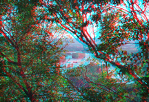 Click for larger image