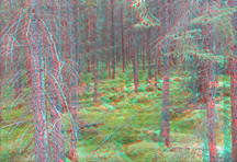 Click to see larger image.