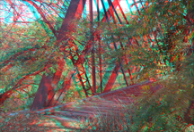 Click to see larger image.