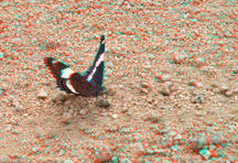 click for larger image