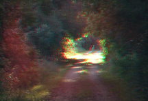 click for larger image