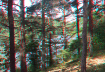 click for larger image