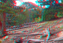 click for larger image