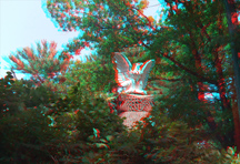 click for larger image