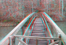 click for larger image