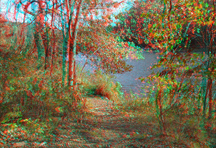 Click to see larger image.