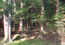 Click to see larger image.