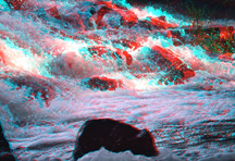 click for larger image