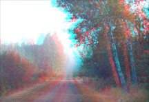 Click to see larger image.