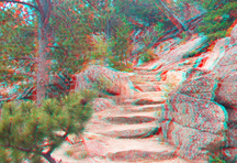 click to see larger image