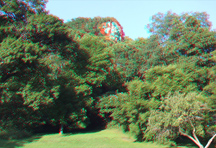 click for larger image