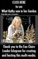 Kathy's garden photos.