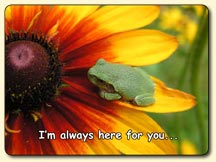 I'm always here for you