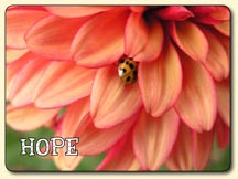 Hope