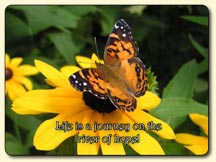 Life is a journey on the river of hope